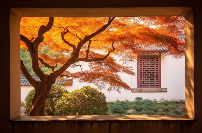 中国杭州绚丽多彩的秋景从窗户口望向室外园林枫树树木秋天景色图像摄影,高清,摄影图,摄影图片,图片大全,摄影图免费下载